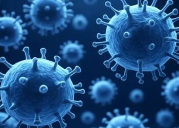 Brote de chikungunya pone en riesgo a millones: OMS