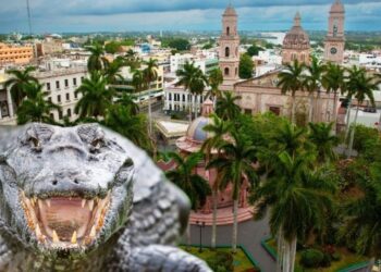 Cocodrilos ‘invaden’ Tamaulipas: reptiles se han convertido en un serio problema en el estado