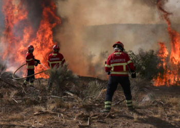 Calor e incendios asedian a Europa
